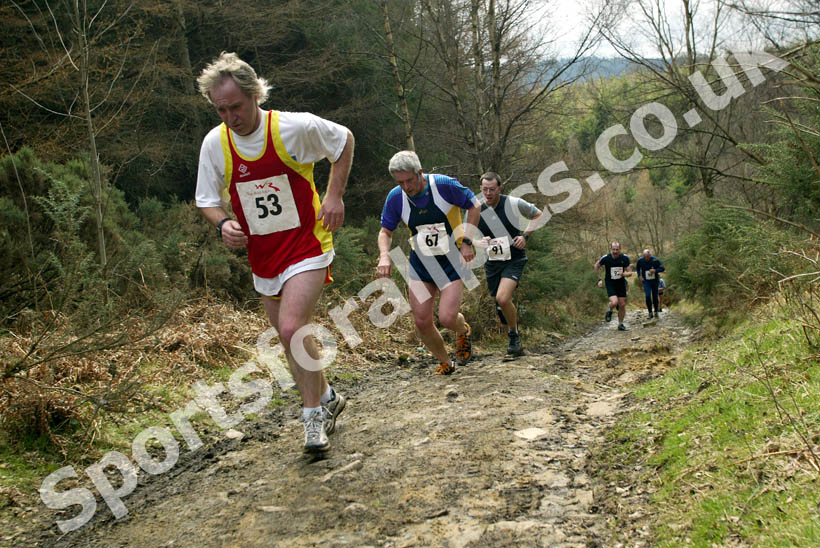 Hamsterley Forest Run